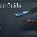 CS2 skin