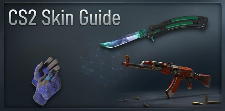 CS2 skin